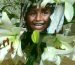 IMG-20250917-WA0033