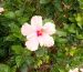IMG_20250527_115253